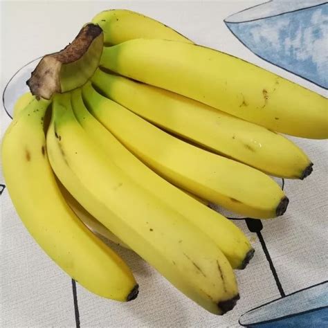 直觀意思 香蕉台免費